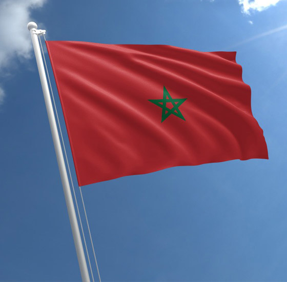 معلومات لا تعرفها عن أعلام دول العالم التي يملك كل منها قصة مثيرة صورة رقم 3