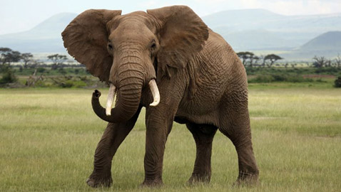 ����� 8 �� ���� ������� �������� �� ������� ������ ������