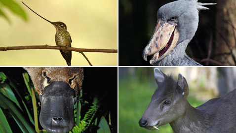 ������: ����� ����� ������ ������ ������� ������ ���� ������!