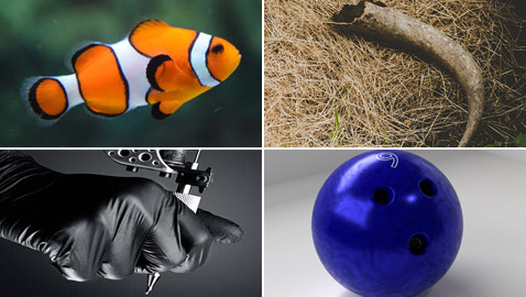 ���� ������� ������� ���� ���� ��� ������ ��������!