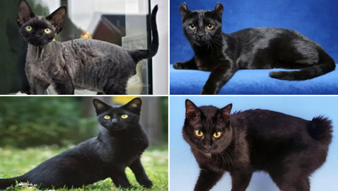 ����� �� ��������.. ����� 10 �� ����� ����� ������� ������� ��������