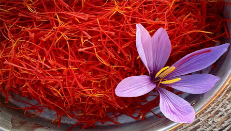 ������ �� ���� ����� ������� �� ������.. ������ ��� ����� ��������  ..