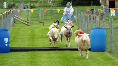 ������ ��� ���� ������ ��������� ��� ������